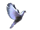 manuq.gif (37198 bytes)